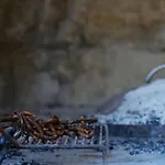 Leptir * Siveric