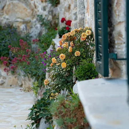 Apartamento Leptir Siveric